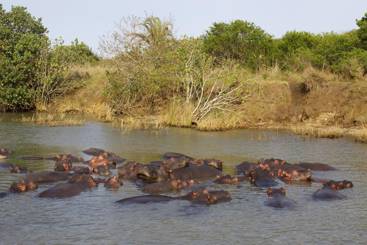 Lodge Afrique Saint Lucia Estuary Exteriér fotografie